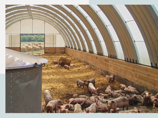 Строительство свинарников в Приморско-Ахтарске